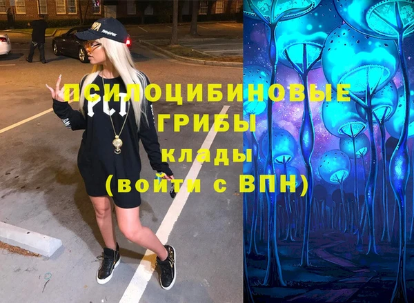 МДПВ Богородицк