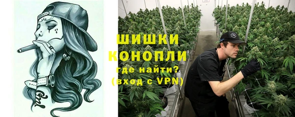 спиды Богородск