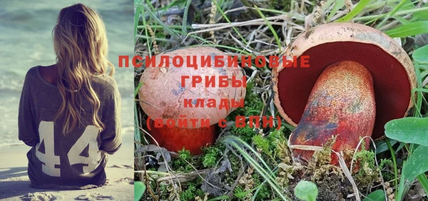 МДПВ Богородицк