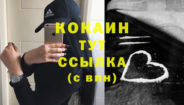 спиды Богородск