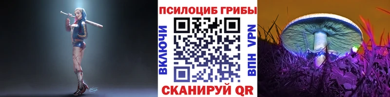 где найти   Саранск  Псилоцибиновые грибы ЛСД 