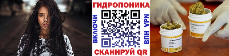 купить наркотик  Саранск  Шишки марихуана VHQ 